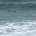 nothingWithout (Explicit)
