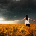 Rain Sounds For Sleep (Deluxe)