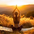 Ritmos suaves y sosegados、Reiki y Tai Chi Armonía、Yoga del mono - Energía En Cámara Lenta