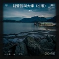 乔一 - 别管我叫大婶 (DJ版)