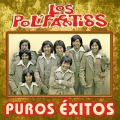 Puros Exitos