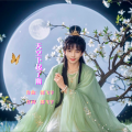 郎飞宇 - 天空下起了雨