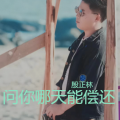 问你哪天能偿还