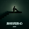 别怕我伤心