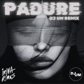DJ UM - Padure