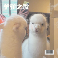 羊驼之歌
