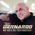 Bernardo - Wat Heb Je Mij Toch Aangedaan