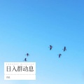 段总 - 洪波涌起