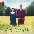 폭싹 속았수다 OST from the Netflix Series - 1막