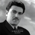 Qəmbər Hüseynli、Tofiq Mütəllibov - Cücələrim
