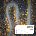 暮霭楼 - 谢道韫
