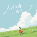 向思思 - 人间总有一两风