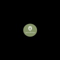 Echo (Christian Hornbostel Remix)