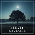 Lluvia para Dormir、Sleeping Music - Costa a la Deriva