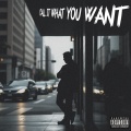 Call It What You Want (Explicit)