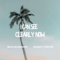 I Can See Clearly Now (feat. Noddy Virtue) [Radio Edit]