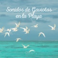 Sonidos De Aves - Sonidos de Gaviotas en la Playa