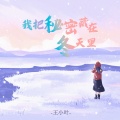 王小叶 - 我把秘密藏在冬天里