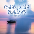 熊七梅 - 你是我这辈子最痛的伤 (DJ版)