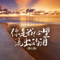 熊七梅 - 你是我心里流出的泪