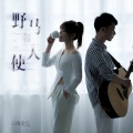 王俊余乐 - 野马和天使