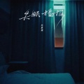 苏星婕 - 失眠播报