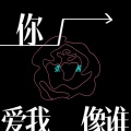 张茜 - 你爱我像谁