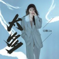 吴琳Lin - 太多