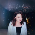 代诗琪 - 揉碎夜的光