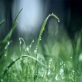 白噪音下雨声:助眠减压 深度睡眠大自然下雨声