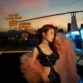 吴琳Lin - 黄昏