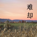 留韵钢琴 - 南山雪