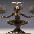 Seumas Norv - Yoga