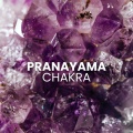 Pranayama Flow (Chakra Breath Alignment for Energy Balance)