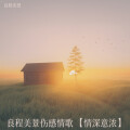 良程美景伤感情歌【情深似海】