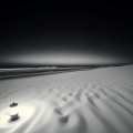 Rachelia Staley - Tide's Call