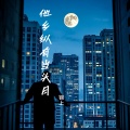 他乡纵有当头月