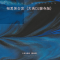 DJ阿伯（陈旭伯） - 相思苦白发 (大邑DJ珈寺(陈旭伯) remix)