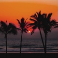 MrRevant - Tropical Sunset