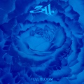 311 - Braver