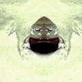 Frog Dance