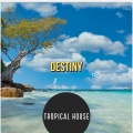 Tropical House - Destiny