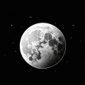 Moon darling
