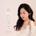 赵洋 - 望断天涯念
