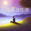 赵荣光 - 心在痛泪在流
