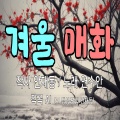 연수안 - 겨울 매화