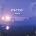 阿美呀 - 无缘再见你