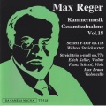 Max Reger: The Complete Chamber Music Vol. 18