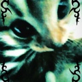 mira como estoy (feat. UNDERGROUNDLORD)