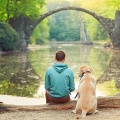 Relaxation Harmonics: Soft and Peaceful Tunes